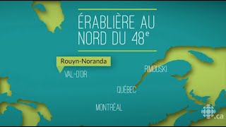 Une érablière au nord du 48ème parallèle [upl. by Ruperto]