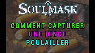 SOULMASK  CAPTURER UNE DINDE  bébé dinde uniquement  ET ÉLEVAGE [upl. by Crompton]