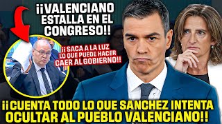 Un Diputado VALENCIANO ¡DEJA EN SHOCK AL CONGRESO😱¡REVELA LO QUE CALLA SÁNCHEZ y RIBERA de la DANA [upl. by Welton487]