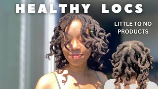 How I Grow Thick and Healthy Locs Using Minimal Products  No More Oil [upl. by Maurine180]