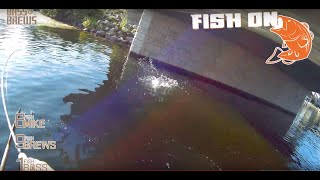 Bass amp Brews Fishing on Okauchee Lake in Waukesha Wisconsin [upl. by Lleuqram]