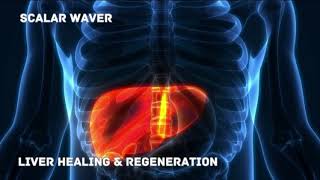 Liver Healing amp Regeneration PREMIUM SUPERCHARGED ULTRA POWERFULEnergetically Programmed [upl. by Leeda]