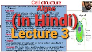 Algae Lecture 3  Cell Structure  in Hindi [upl. by Haase]