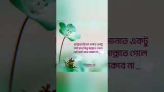 Islamic caption status video❤️islamic captionislamic caption bangla [upl. by Einafpets]