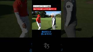 アプローチの基本は球を上げずに転がすことです 片山晋呉 golf ゴルフ shorts [upl. by Ssepmet340]