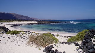 Lanzarote Best Beaches amp Nature Highlights Orzola Papagayo Costa Teguise Punta Mujeres Famara [upl. by Tadd570]