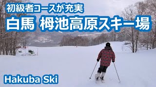 白馬 栂池高原スキー場・初級者コースとカフェ、温泉を楽しむ Hakuba Ski｜人生の楽園・長野移住ライフ｜田舎暮らし vlog 038 [upl. by Aisylla]