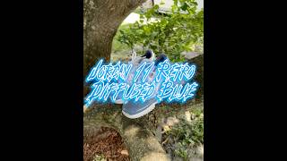 Diffused Blue Jordan 11 Retro Low jrstar33 jordan sneakers hurricanewisdom frontline like [upl. by Ebneter]