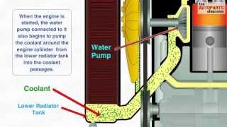 How Car Cooling System Works [upl. by Rosenstein]