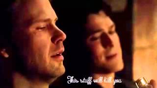 Best moments of Dalaric  The Vampire Diaries [upl. by Chrissie]