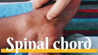 Reflexology for Spinal problemsSokushindo 🦶 [upl. by Nerti663]