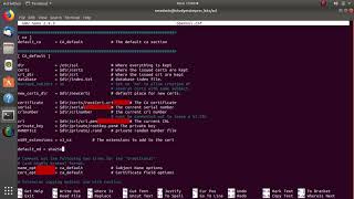 2 Openssl cnf config SSL Client Server Connection with Ubuntu Server 18 amp Postgresql 11 [upl. by Granny571]