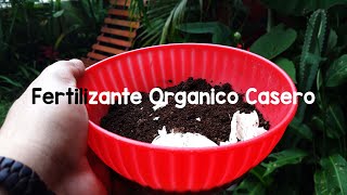 fertilizantes para plantas l Café y cascara de huevo 🌿 [upl. by Corley868]