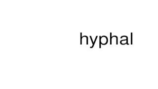 How to pronounce hyphal [upl. by Nale357]