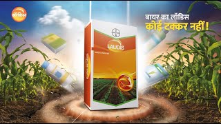 Best Herbicide for Maize लॉडिस Laudis Herbicide  Bayer Crop Science India [upl. by Anitahs]