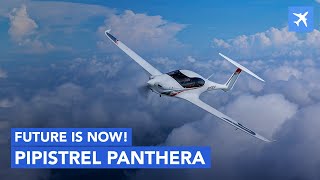 Pipistrel Panthera  Review Specs and Comparison [upl. by Oicafinob643]