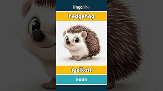 🇬🇧🇸🇪 hedgehog  igelkott  learn English  låt oss lära oss engelska [upl. by Yeldah422]