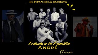 TRIBUTO A LA FAMILIA ANDRÉ Jochy Reyes  EL TITAN [upl. by Weslee]