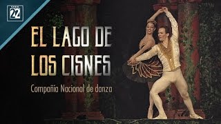 Tchaikovsky El lago de los cisnes Compañía Nacional de Danza [upl. by Eceirahs]