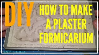 💡DIY👍 HOW TO MAKE A PLASTER FORMICARIUM [upl. by Eittel]