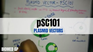 Plasmid vectors  pSC101  BioMed GP [upl. by Wendeline]