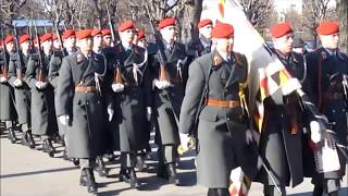 Österreichisches Bundesheer  Radetzky Militärmarsch [upl. by Anayia8]