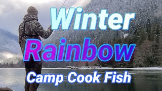 Winter trout fishing in lakes Catch and cook  A car camping fishing adventure [upl. by Nalaf91]