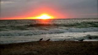 Sandcastle Resort at Lido Beach  SARASOTA [upl. by Farrington]