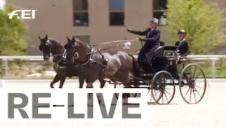 RELIVE  Marathon  FEI Driving World Championships for Pairs [upl. by Sallad]