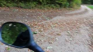 Durch den Wald fahren mit den Yamaha Motorroller 50ccm 50kmh 5PS mit 21939km stand [upl. by Asseram]