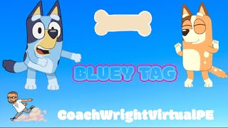 Bluey Tag [upl. by Ecyarg]