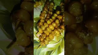 corn stick 🍡 🌽foryou food familycooking recipe ilovecookingforfamily easyrecipe cooking [upl. by Nysila]