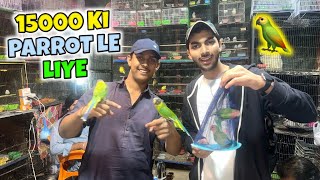 Aaj humna 15000 Parrot le liye 🦜 [upl. by Ylle539]