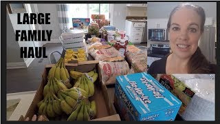 ONCEAMONTH GROCERY HAUL September Forgetful THM and MoneySaving Plans [upl. by Ytsud]