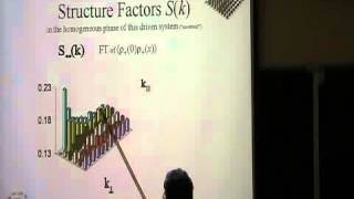 Driven diffusive lattice gases and mass transport models IV  Royce Zia [upl. by Ainesey]