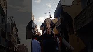 panapakkam prametchava thiruvizha artificial elephant🥰❤️ [upl. by Nneb301]