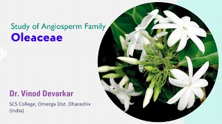 Study of Family Oleaceae by Dr V D Devarkar [upl. by Arihaj]