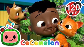 We Love Our Pets  CoComelon  Nursery Rhymes for Kids  Moonbug Kids Express Yourself [upl. by Byram639]