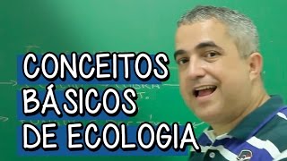 Níveis de Organizações Ecológicas  Extensivo Biologia  Descomplica [upl. by Anatollo]