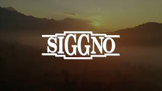 Siggno  Vete Lyric video [upl. by Idola]