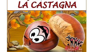 LA CASTAGNA🌰Testo DESCRITTIVO cl seconda Di Simona Chianura [upl. by Eeresid]