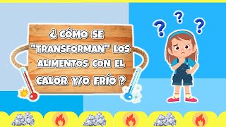 ¿CÓMO SE TRANSFORMAN LOS ALIMENTOS CON EL CALOR YO FRÍO 🧒 🌡️ 🧊👧  Saber comer para sentirme bien [upl. by Lilhak]