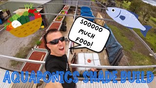 SUPER EASY SHADE HOUSE for the Aquaponics garden 🐟🍅🐠🫑 [upl. by Aliza401]