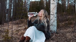 How to tap Birch Sap  Health benefits amp a taste of spring [upl. by Sancha333]