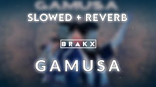 GAMUSA  KLANZ  SLOWED  REVERB   B R A K X MUSIC [upl. by Nayk89]