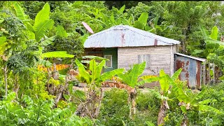 CAMPOS DE REPÚBLICA DOMINICANA DONDE CASI NO VIVE GENTE [upl. by Nerraf]