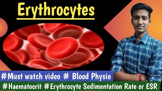 Erythrocytes Hematocrit ESR Blood PhysiologyLectures  in hindi Ashish Agrawal [upl. by Anawek]