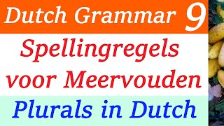 Rules for plural spelling in Dutch language  Spellingregels voor Meervouden in Nederlands lesson 8 [upl. by Solly]