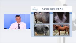 How to spot Equine Cushings disease [upl. by Ytissahc83]