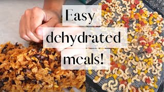 Quick Dehydrated Meals  Prepper Food made in Your Own Kitchen  DIY Camping Food [upl. by Ibmab]